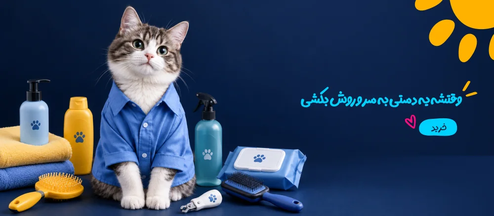 وقتشه یه دستی به سر و روش بکشی