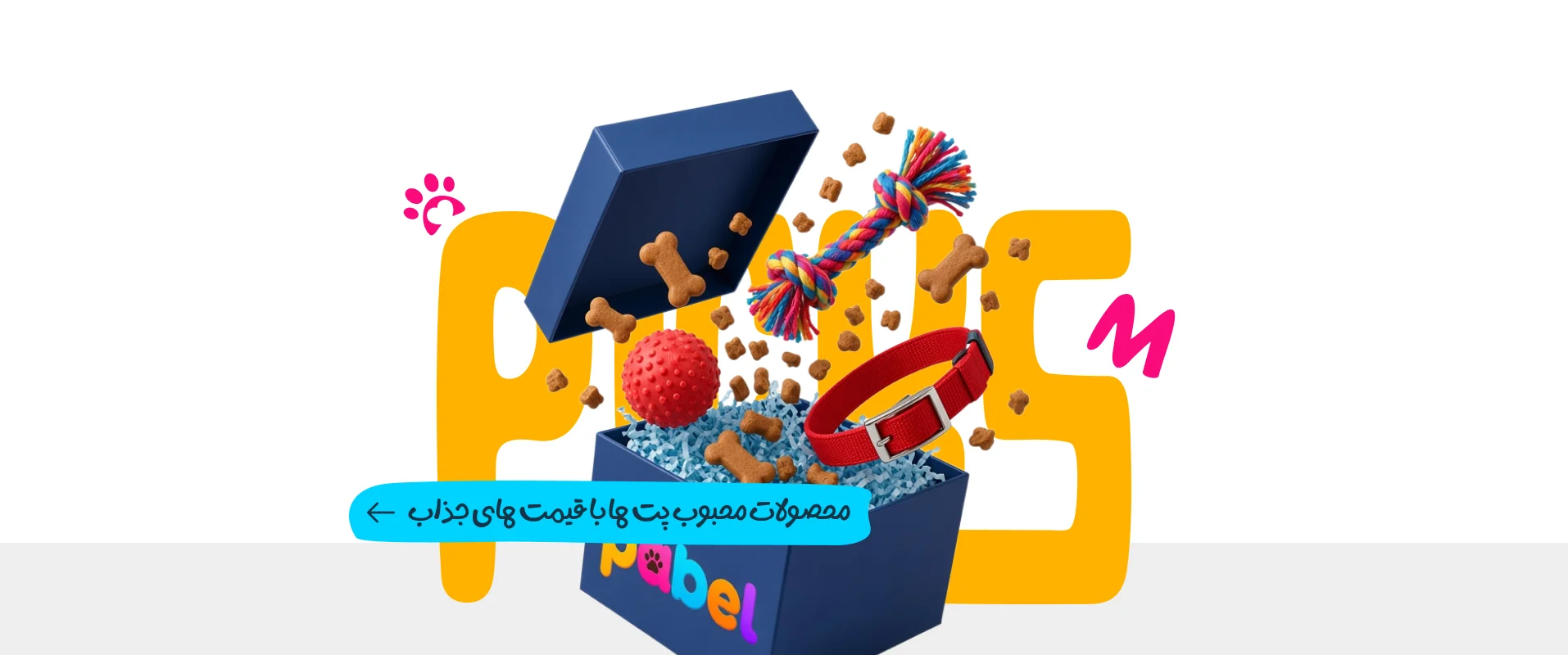 یشنهاد ویژه پابل